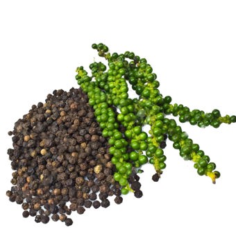 Pepper Black Essential Oil Organic