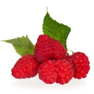 Raspberry Seed Oil Expressed