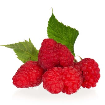 Raspberry Seed Oil Expressed